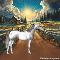 Horse Color:Liver Chestnut Tobiano Appaloosa 