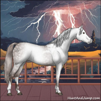 Horse Color:Gray Chestnut Tobiano Rabicano 