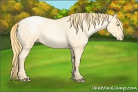 Horse Color:Buckskin Roan Pearl Rabicano  and Buckskin Roan Pearl Appaloosa Rabicano 