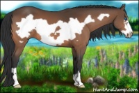 Horse Color:Bay Frame 