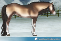 Horse Color:Liver Red Onyx