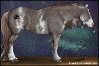 Horse Color:White Spotted Liver Chestnut Ice Sabino