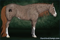 Horse Color:Chestnut Ice Sabino 