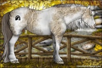 Horse Color:White Spotted Amber Cream Champagne Ice 
