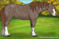 Horse Color:Chestnut Ice Sabino Splash 