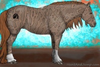 Horse Color:Chestnut Ice Sabino Tobiano 