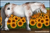 Horse Color:White Spotted Bay 