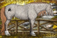 Horse Color:Gold Champagne Ice Roan Dun Sabino Rabicano 