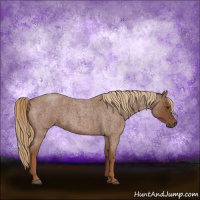 Horse Color:Red Roan 