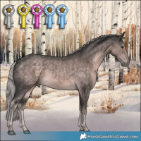 Horse Color:Platinum Chocolate Palomino 