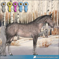 Horse Color:Platinum Chocolate Palomino 