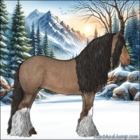 Horse Color:Liver Red Dun 