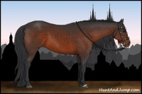 Horse Color:Brown 