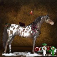 Horse Color:Liver Chestnut Ice Appaloosa Rabicano