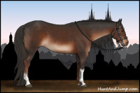Horse Color:Liver Chestnut Tobiano 