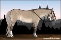 Horse Color:Silver Brown Dun Tobiano 
