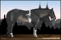 Horse Color:Black Tobiano
