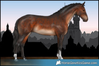 Horse Color:Brown Tobiano 