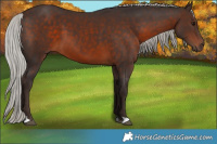 Horse Color:Silver Brown 