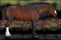 Horse Color:Brown 