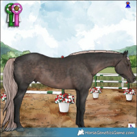 Horse Color:Platinum Liver Chestnut 