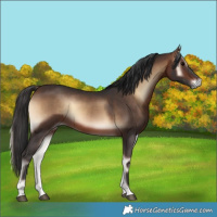 Horse Color:Brown Onyx 