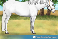 Horse Color:Silver Bay Roan Snowflake Varnish 