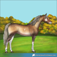Horse Color:Chocolate Palomino Onyx Tobiano 
