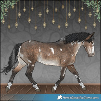 Horse Color:White Spotted Brown Dun Rabicano 
