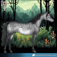 Horse Color:Brown Chinchilla