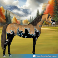 Horse Color:Buckskin Sabino 