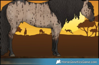 Horse Color:Liver Red Dun Rabicano Brindle