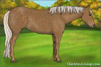 Horse Color:Silver Smoky Black 