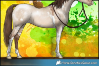 Horse Color:White Spotted Brown Pearl Dun Tobiano Rabicano
