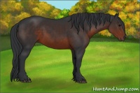 Horse Color:Brown 