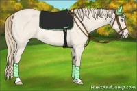 Horse Color:Perlino Roan 