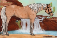 Horse Color:Silver Bay 