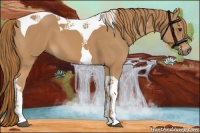 Horse Color:Chestnut Tobiano