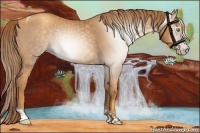 Horse Color:Gray Gold Champagne Tobiano 