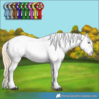 Horse Color:Chocolate Palomino Mushroom Appaloosa