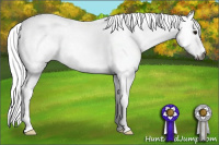 Horse Color:Gray White Spotted Brown Roan