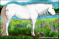 Horse Color:Gray Chestnut Tobiano Blanket