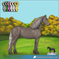 Horse Color:Silver Black 
