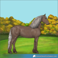 Horse Color:Silver Black 