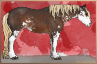 Horse Color:Liver Chestnut Sabino 