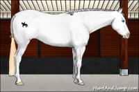 Horse Color:Smoky Grullo Splash Frame Blanket 
