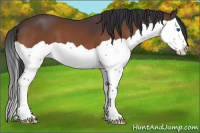 Horse Color:Brown Splash 
