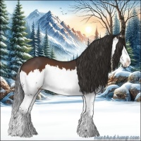 Horse Color:Bay Splash 