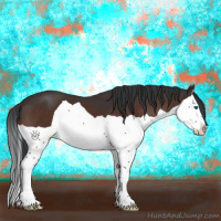 Horse Color:Brown Splash 