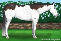 Horse Color:Brown Splash 